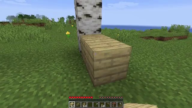 A Minecraft field generated by the Oasis world model